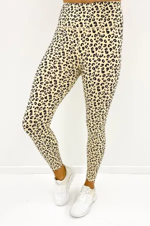 Distinct Legging Print