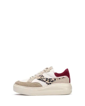 Unisa FIVEBG- Trainer